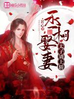 丞相娶妻,太子请上轿
