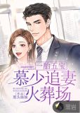一胎五宝:慕少追妻火葬场