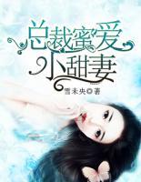 总裁蜜爱小甜妻小说阅读