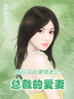 婚后冷战薄情老公:总裁的爱妻 满城烟火