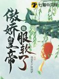 傲娇皇帝他服软了