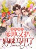 龙凤双宝:爹地又扒妈咪马甲了
