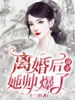 离婚后,前妻她帅爆了 小说