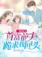 一胎三宝前夫又来抢萌宝免费阅读