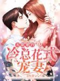 高冷总裁无限宠妻