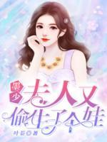 墨少,夫人又偷偷生娃了!