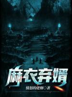 麻衣弃婿txt下载
