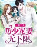 一胎三宝:厉少宠妻无下限