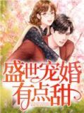 盛世宠婚 小说