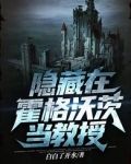 隐藏在霍格沃茨当教授