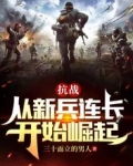 抗战:从新兵连长开始崛起