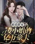 霸道甜宠:凌小姐的亿万豪夫
