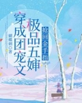 穿成团宠文极品五婶,抢回金手指