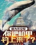 就为不空军,你把机甲钓上来了?