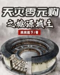 天灾零元购之桃源城主