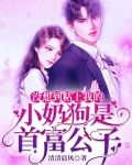 没想到粘上我的小奶狗是首富公子