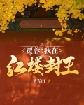 贾蓉:我在红楼封王