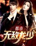 都市无敌龙少