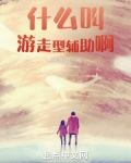什么叫游走型辅助啊