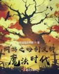 网游之哈利波特:魔法时代