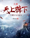 大唐:天上掉下一个翼装飞行驸马