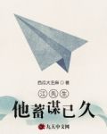唐先生蓄谋已久免费阅读TXT
