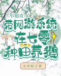 小知青带网游系统在七零种田养鹅