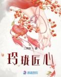 玲珑匠心 小说