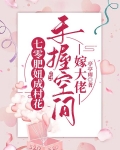 七零肥妞成村花:手握空间嫁大佬