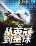世界杯:从英冠到金球