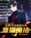 真刑!开局系统让我直播魔法