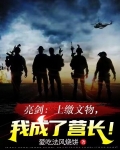 亮剑:上缴文物,我成了营长!