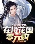 大明:穿越之前在樱花国零元购
