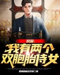 民国:我有两个双胞胎侍女