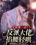 宝贝乖一点!反派大佬掐腰轻哄