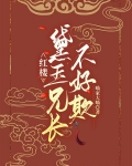 红楼:黛玉兄长不好欺