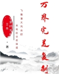 万界完美复制