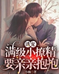 诱宠,满级小撩精要亲亲抱抱
