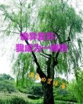 诡异复苏:我成为一棵树