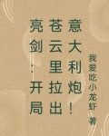 亮剑:开局苍云里获得意大利炮!