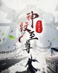 神纹战尊免费阅读