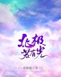 北极若有光