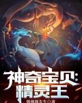 神奇宝贝:精灵王