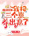七零旺家媳:我把三个崽养出息了