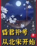 昏君补考,从北宋开始