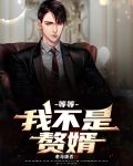 不是赘婿的小说