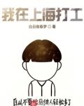 我在上海打工