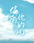 偏向,你的风