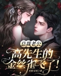 总裁老公:高先生的金丝雀飞了!