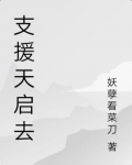 支援天启去